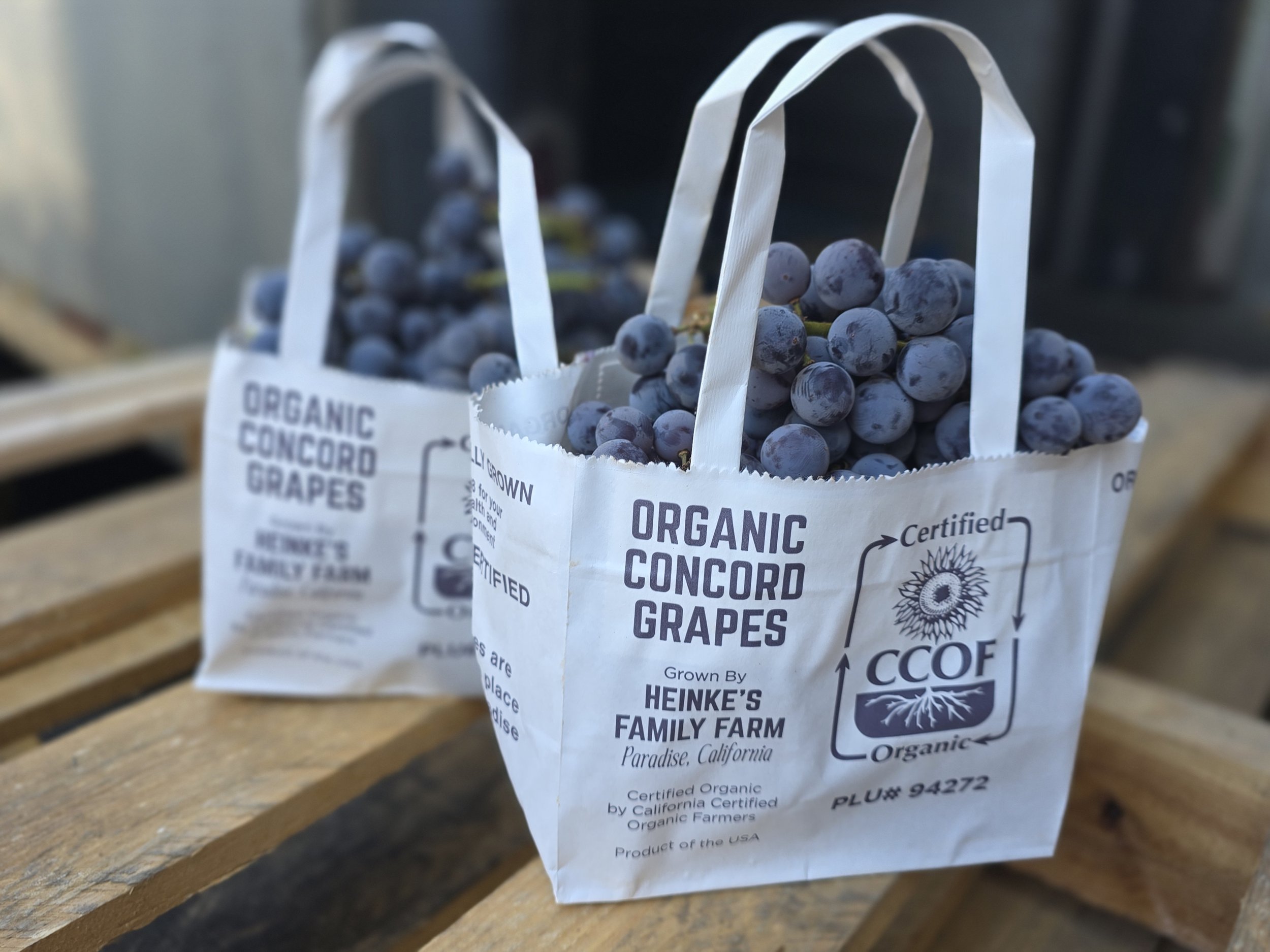 HEINKE CONCORD GRAPES ARE SPECIAL — Earl's Organic Produce