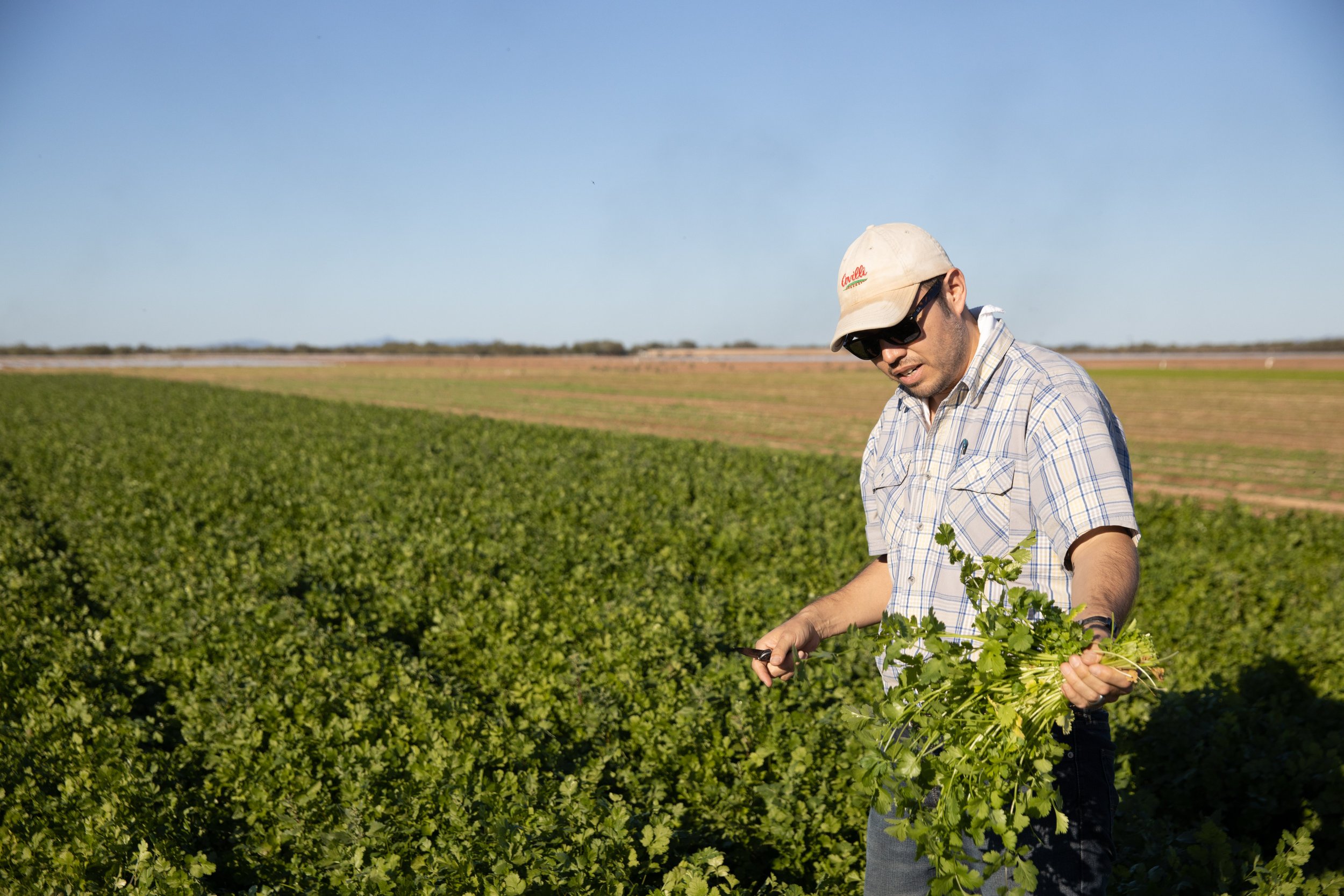 Alex Madrigal in the field.jpg