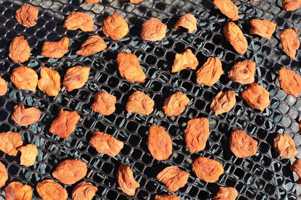 Dried Peaches.JPG