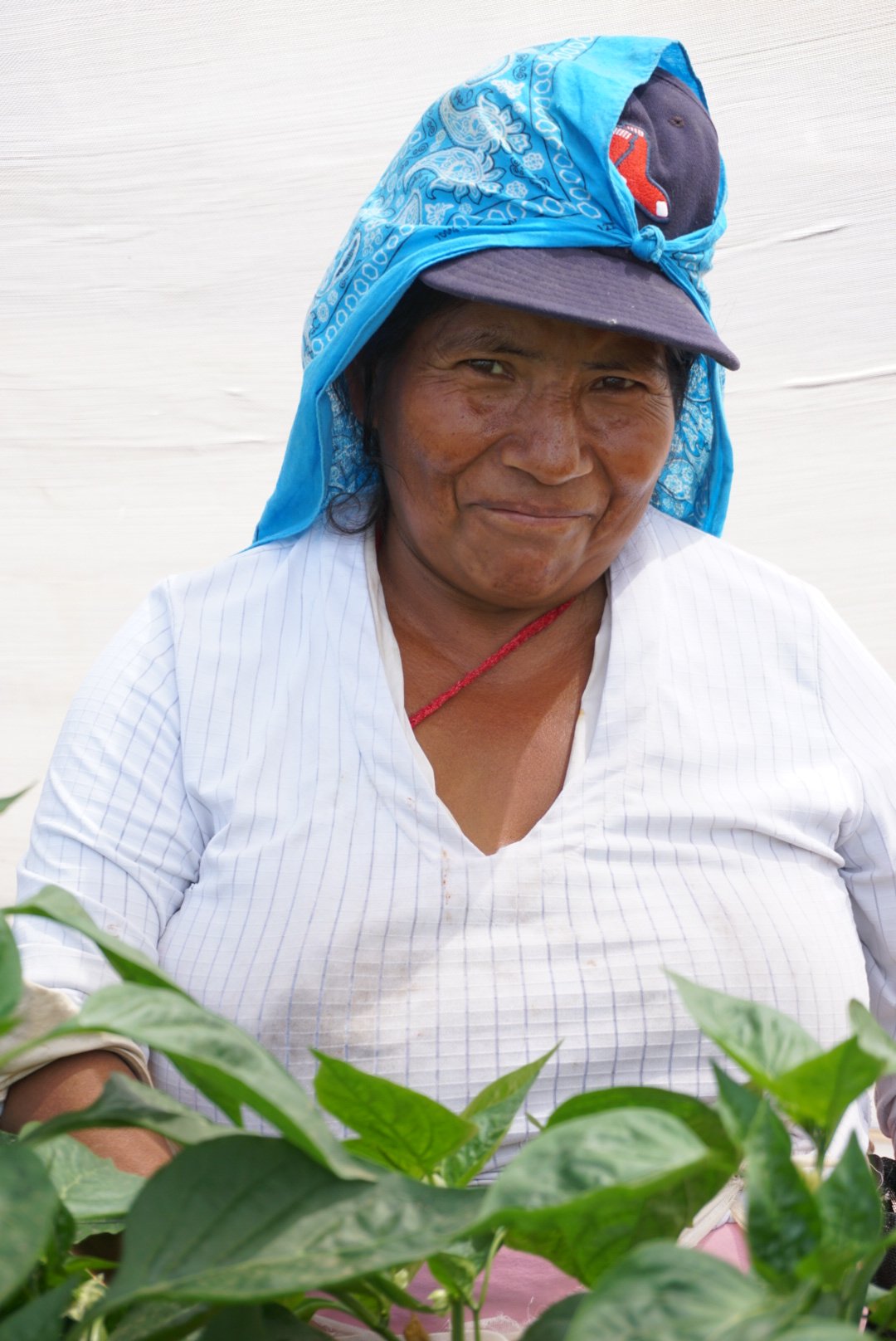 Female worker GH.JPG