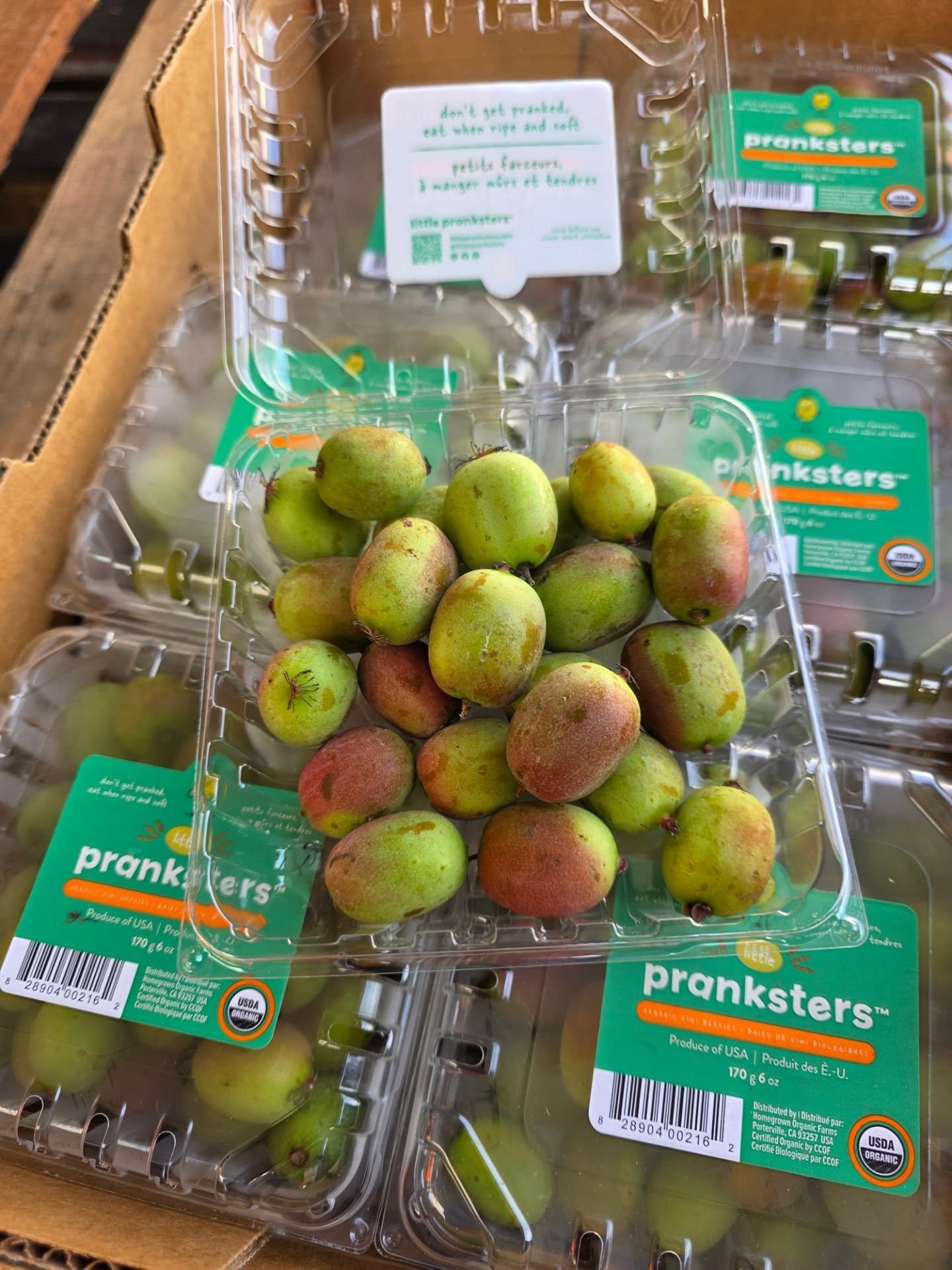 Kiwi Berries are the pop and go snack! Kiwi Berries are a nutritional powerhouse and a healthy food source containing over 20 nutrients. They ripen at room temperature and are ready to eat when the skin turns a darker green, wrinkles and gently yield