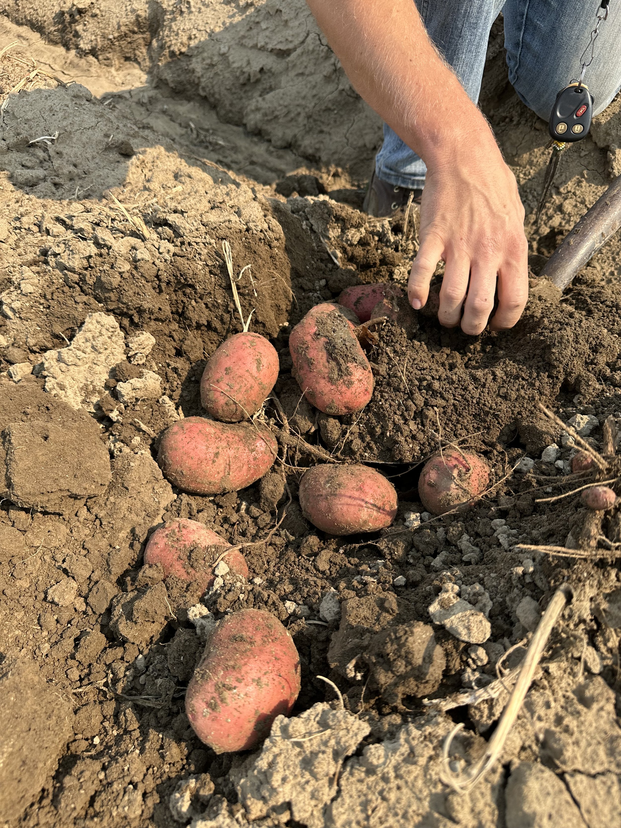 IMG_2475 Dans Bouchey photos 7[]26[]24.jpeg