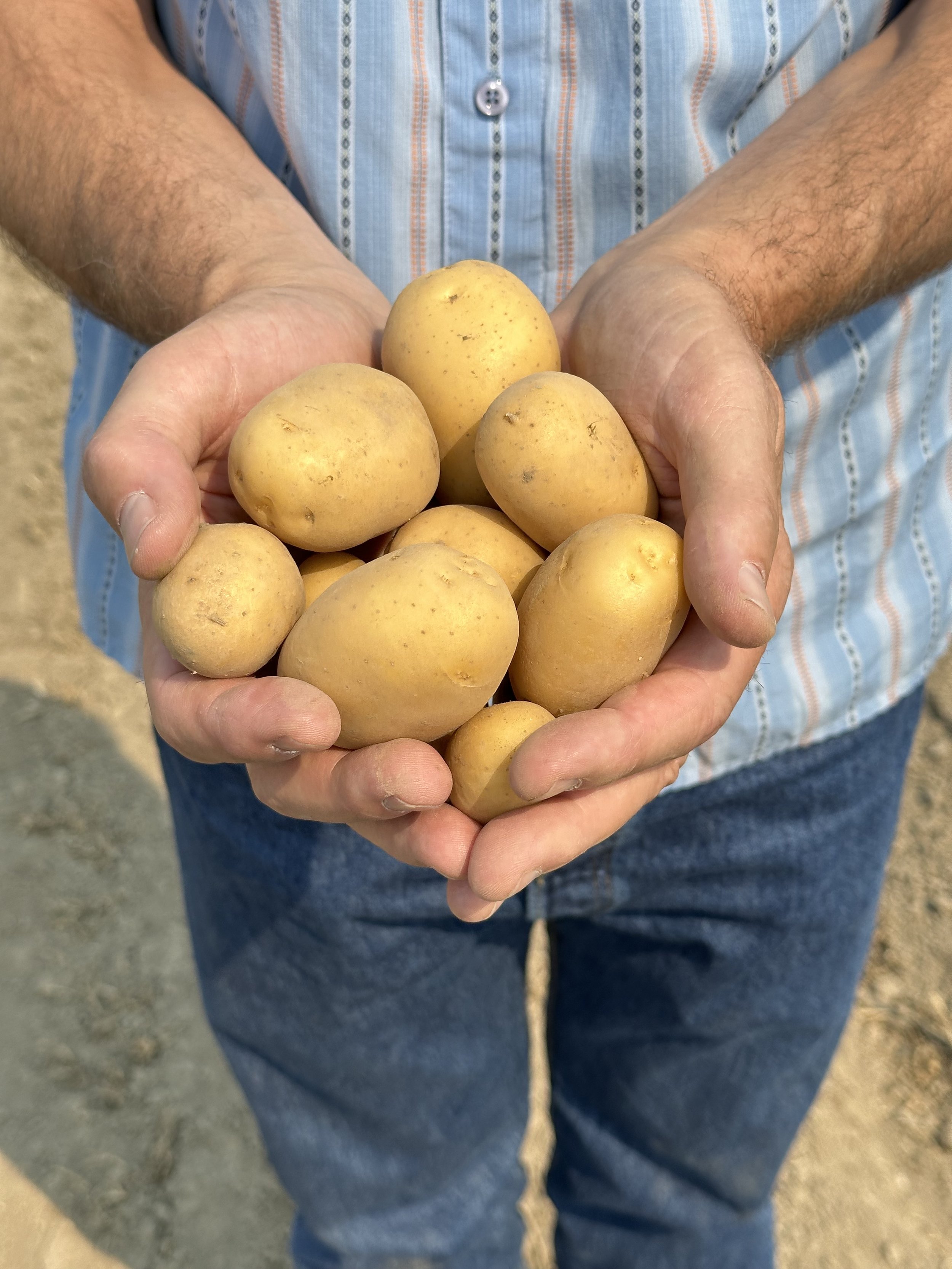 IMG_2499 Dans Bouchey photos 7[]26[]24.jpeg