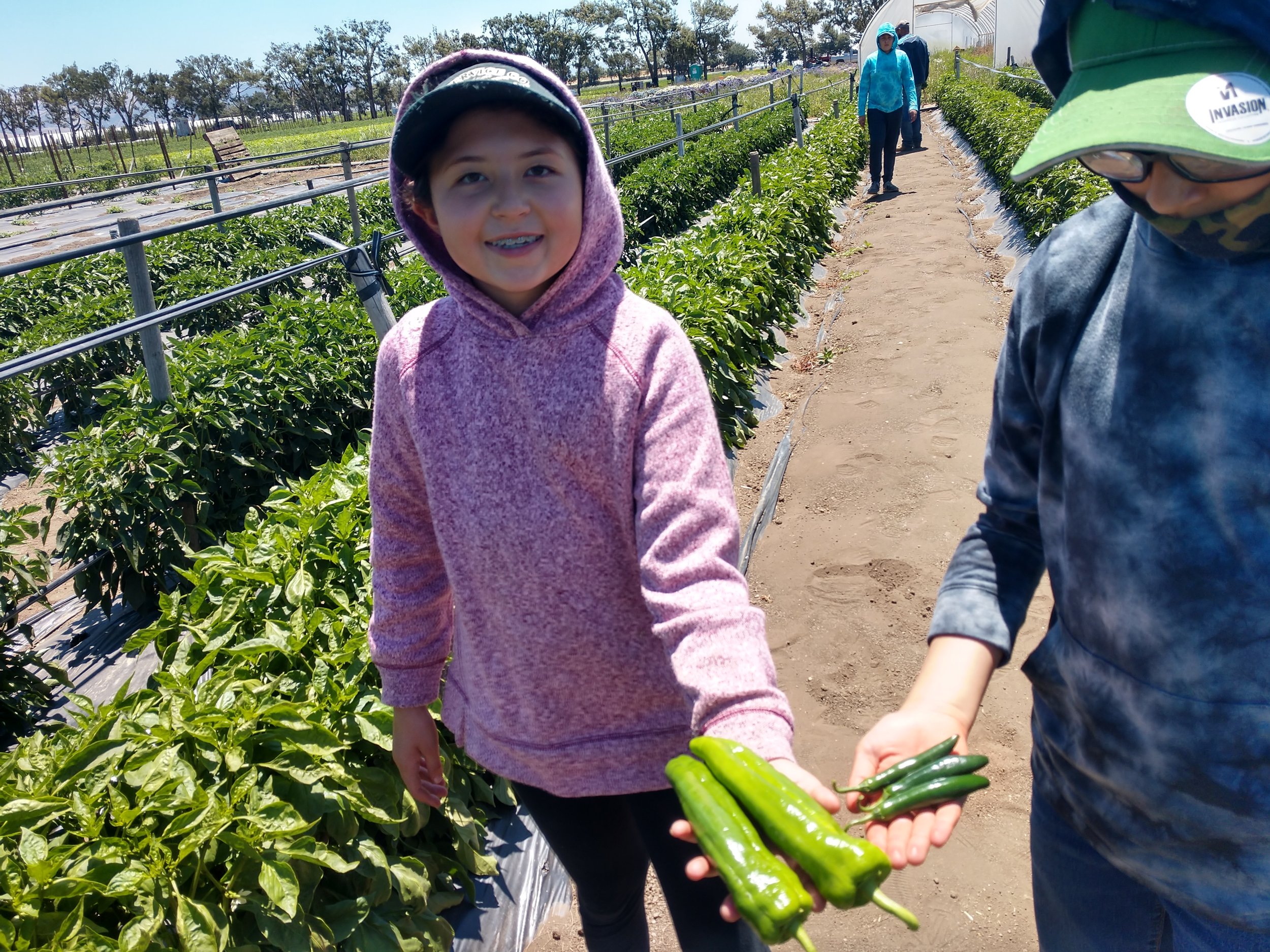 La Granjita Hot Peppers.jpg