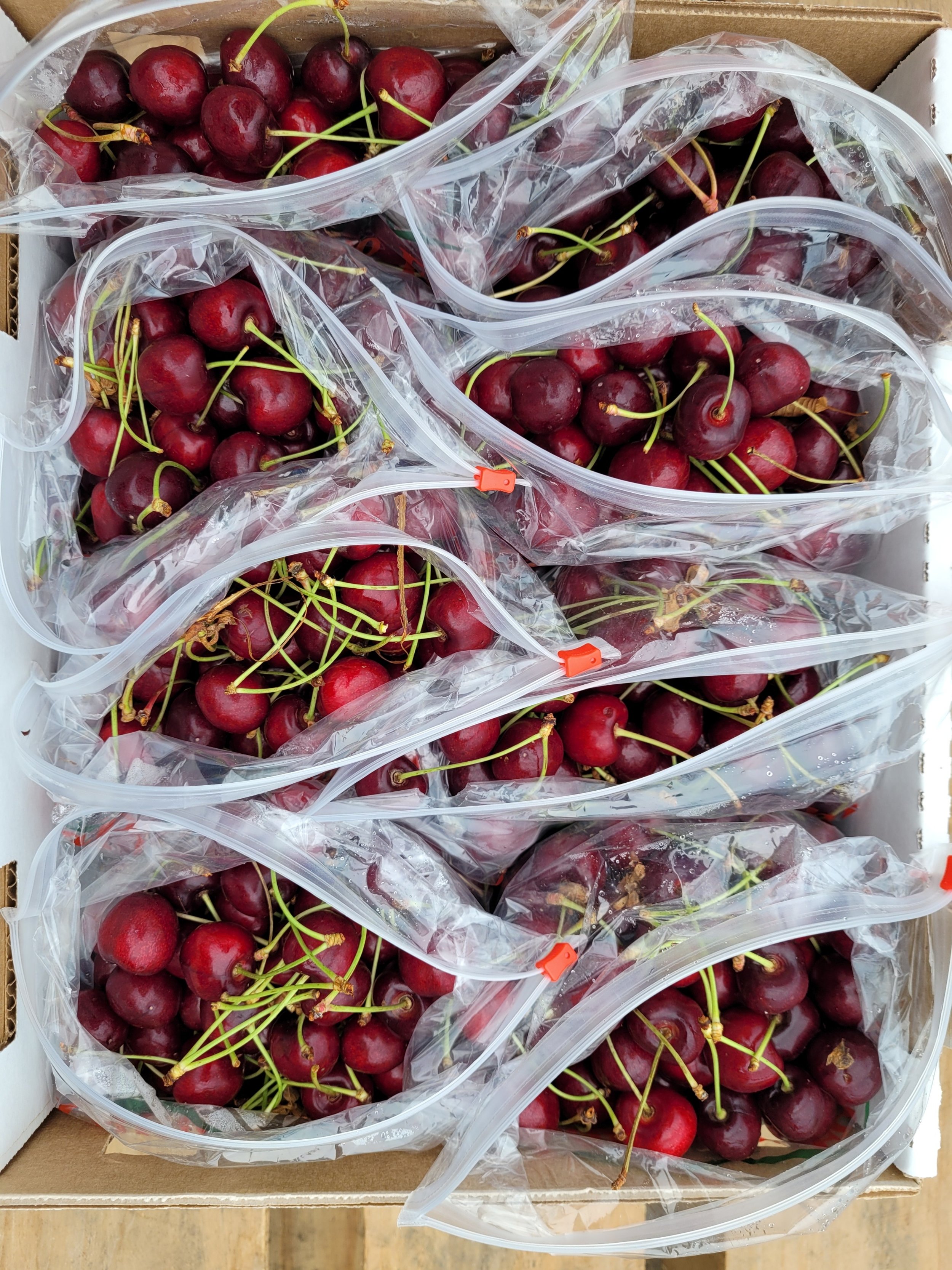 La Pierre Bing (2).jpg