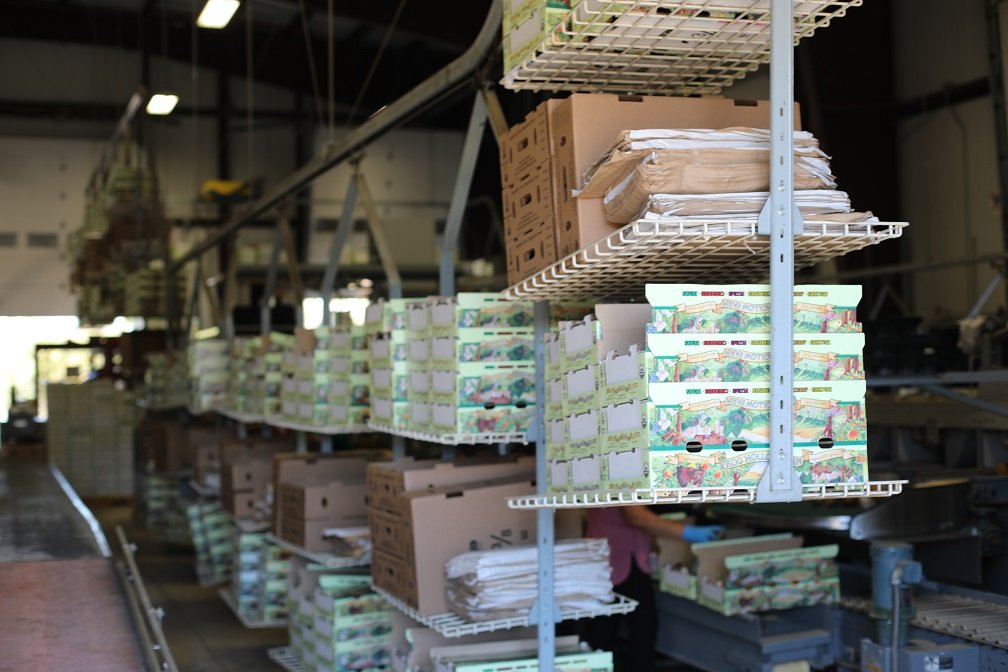 Lifted boxes good light.JPG