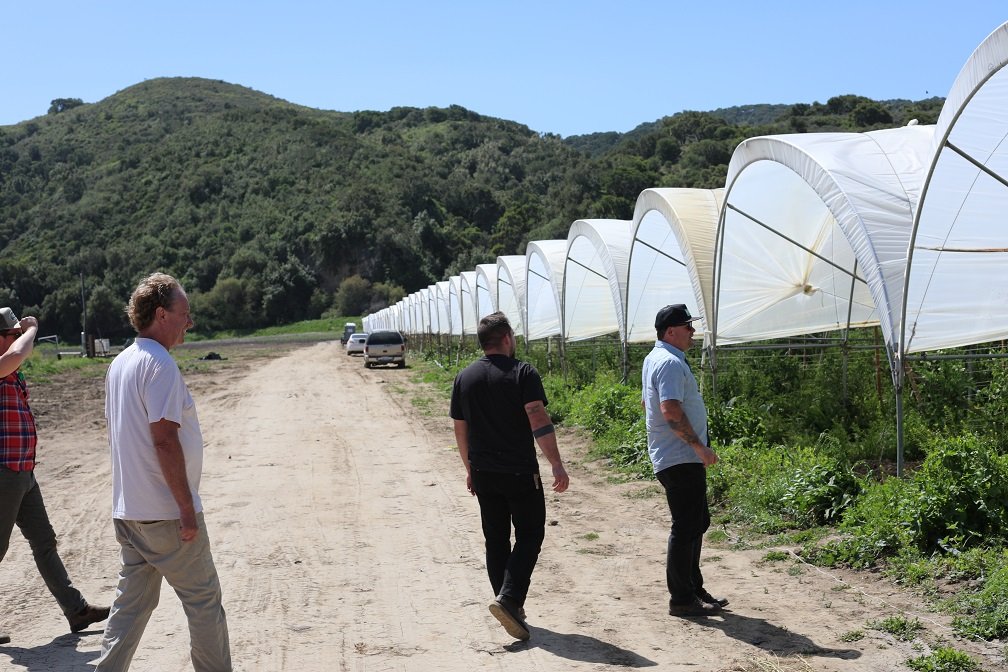 Many Greenhouses.JPG