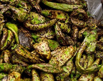 Roasted Hatch Chiles.jpg