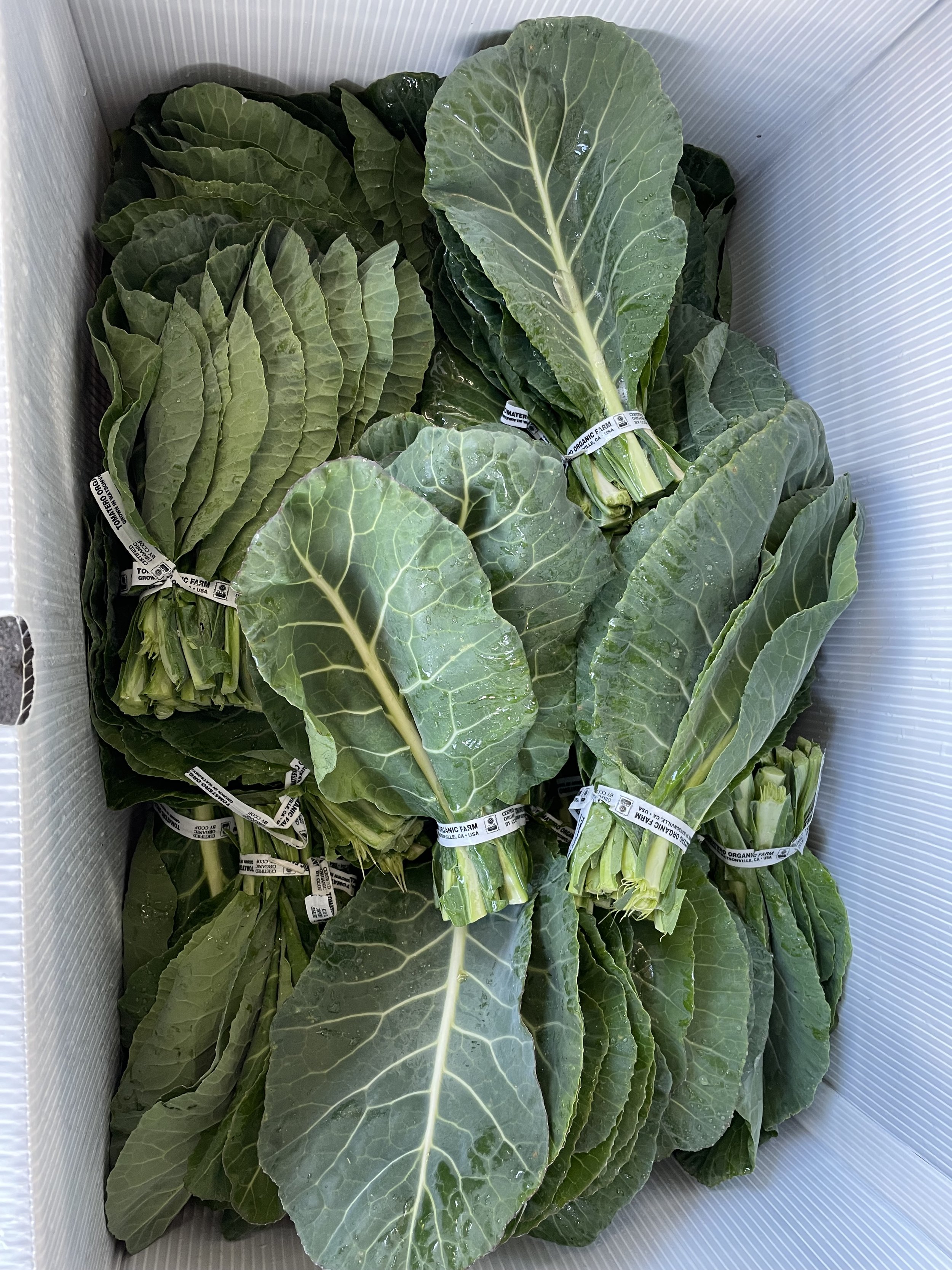 Tomatero Collards.jpg