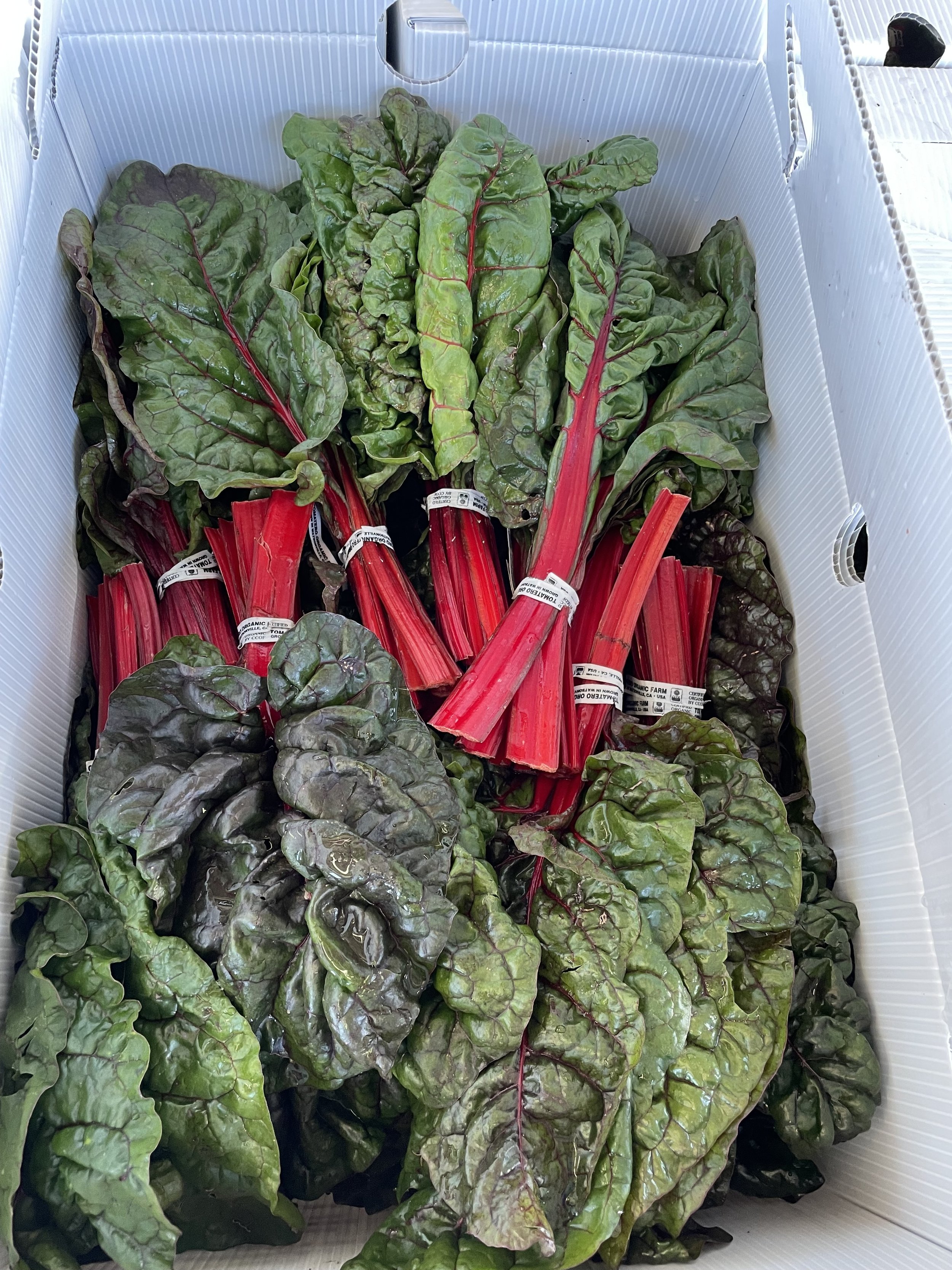 Tomato Red Chard.jpg