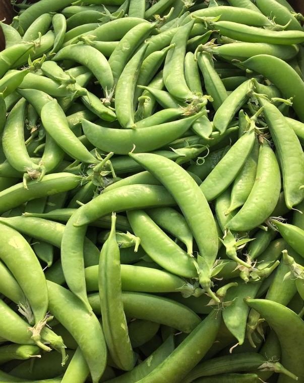 Tutti Sugar Snap Peas.JPG