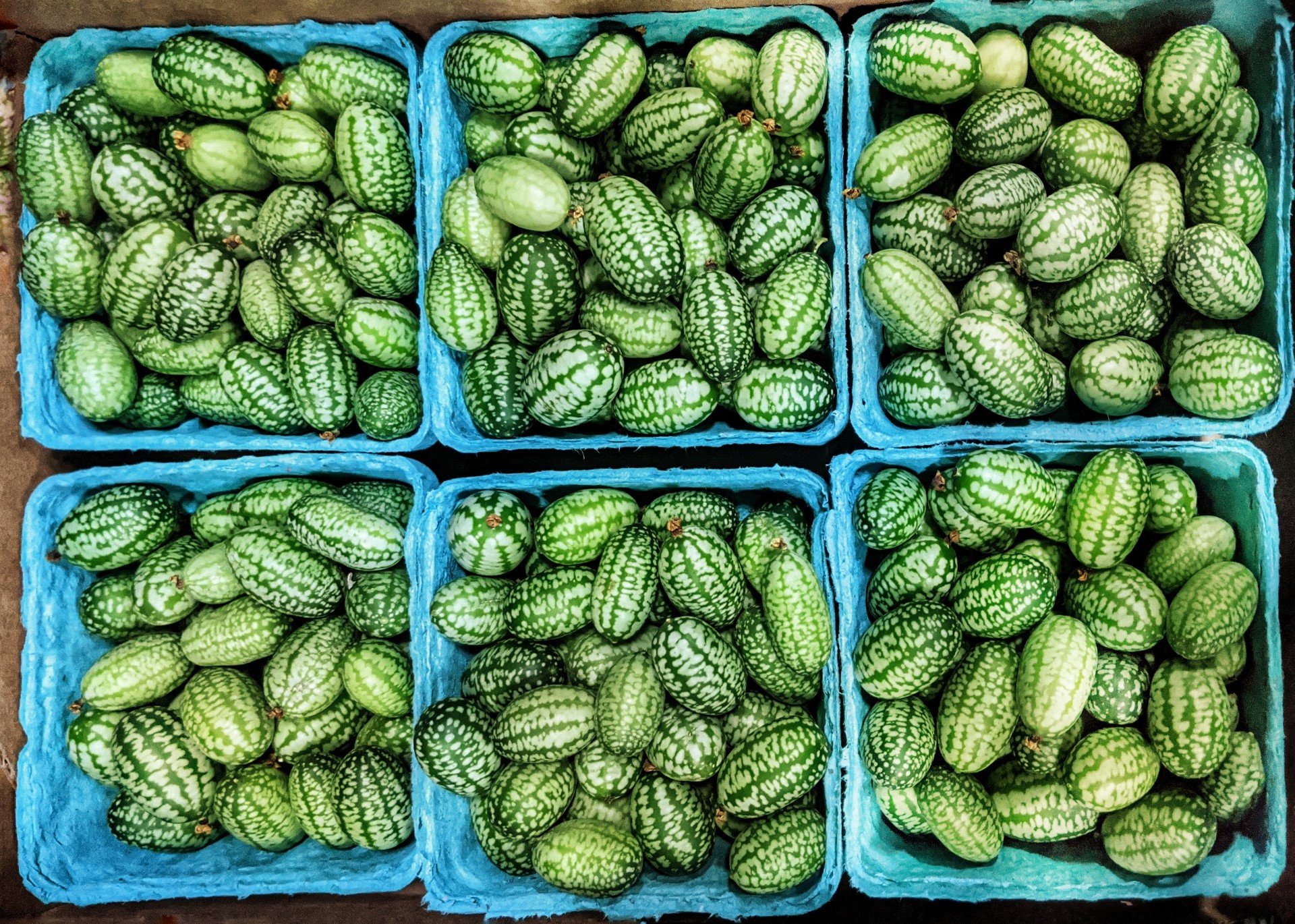 Watermelon Gherkins La Granjita Recyclable Packaging.jpeg