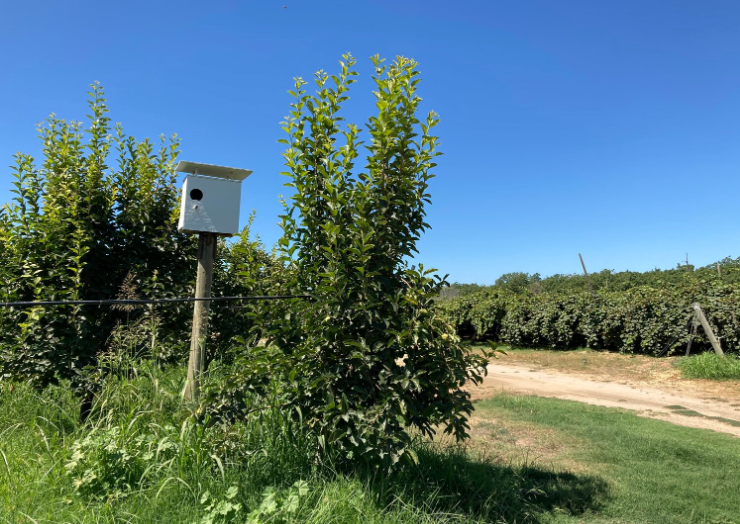 Bird boxes Wild River.png